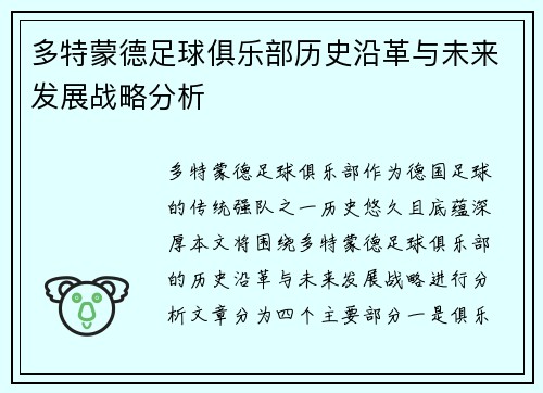 多特蒙德足球俱乐部历史沿革与未来发展战略分析